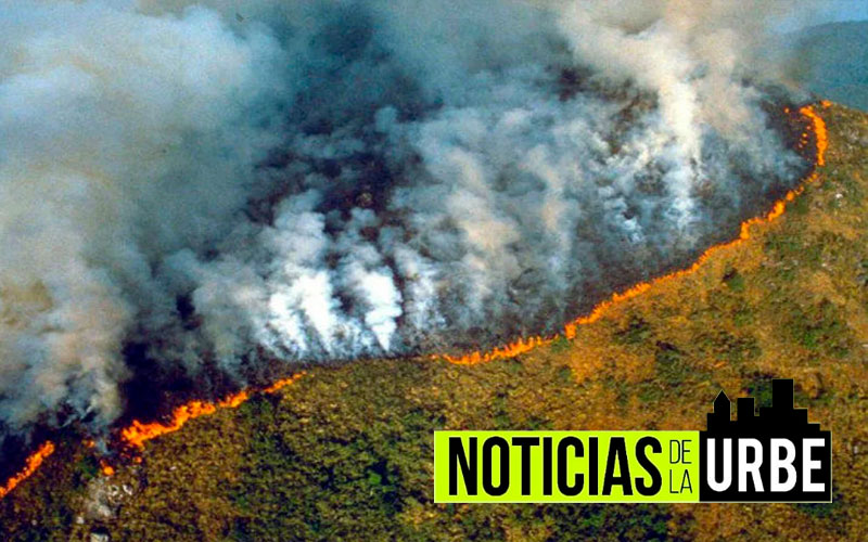 Mediante Brigadas aéreas se propone combatir incendios en el amazonas