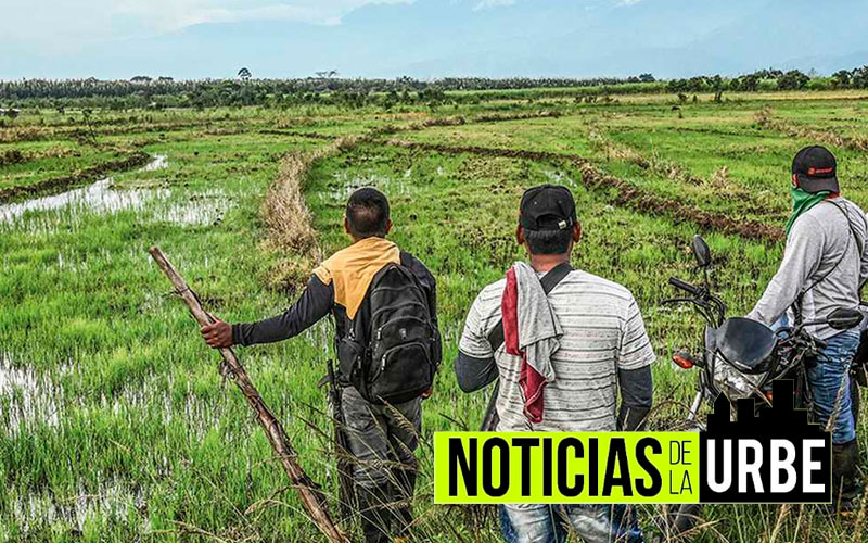 Invasores de tierras plagiaron la firma de la ministra de Agricultura para quedarse con predios