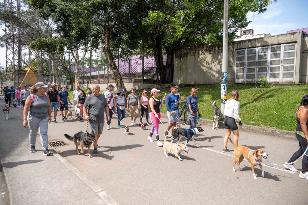 Medellín le da la bienvenida a la navidad con una caminata canina y con 35 actividades para concientizar sobre el no uso de la pólvora