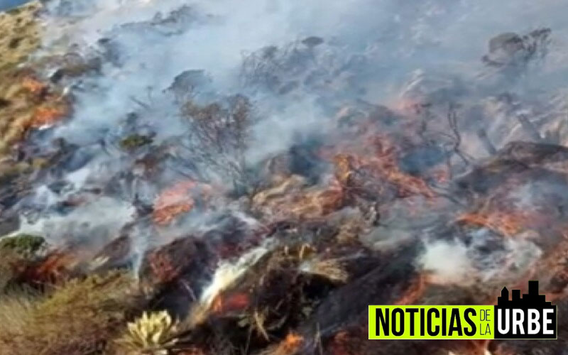 Paramo de Cundinamarca se ve en peligro por fuerte incendio