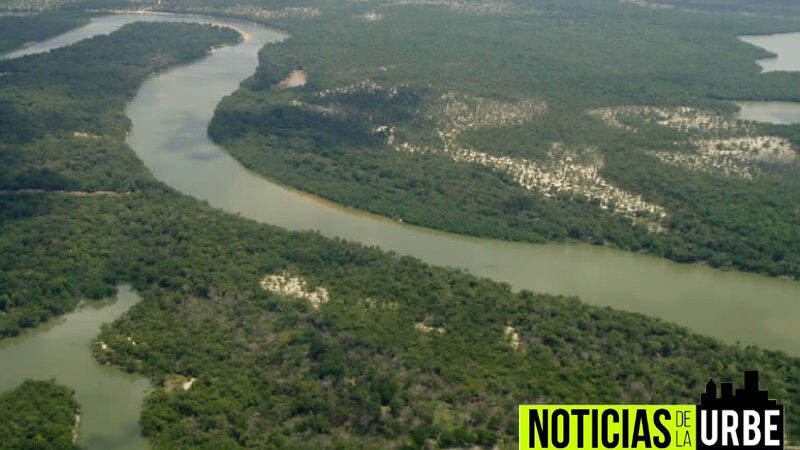 Amazonia escala como una de las regiones con mayor tasa de desempleo, junto con Orinoquía e insular