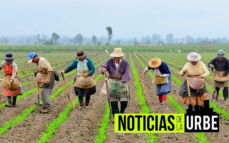 Colombia busca resarcir sus campesinos con reforma agraria