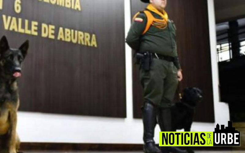 280 kilos de marihuana fueron encontrados en Sabaneta, Antioquia por dos perros policía
