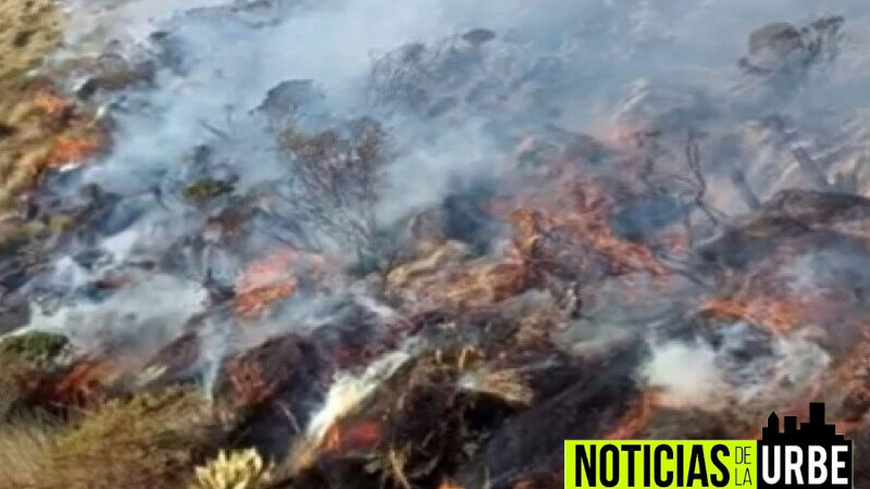 Paramo de Cundinamarca se ve en peligro por fuerte incendio