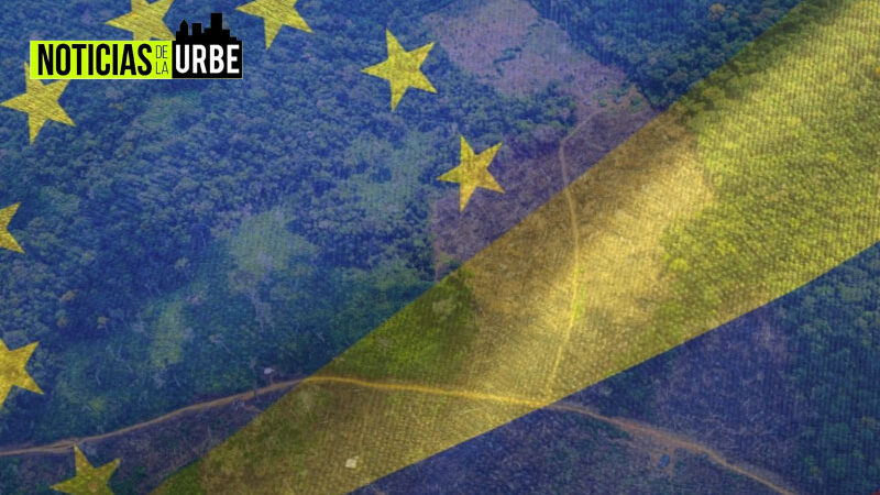 Tensión Internacional: 17 Países, Incluyendo Colombia, Expresan Preocupación por Reglamento de la Unión Europea sobre Comercio Libre de Deforestación