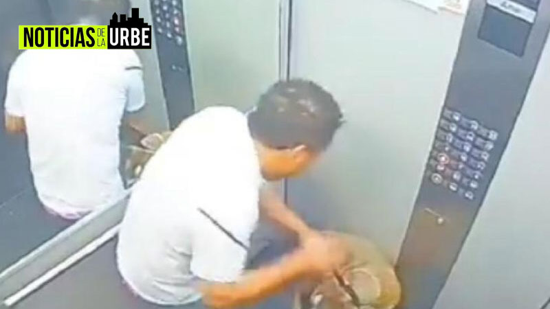 Se busca a hombre que en ascensor agredió violentamente a su perrito en Itagüí, Antioquia